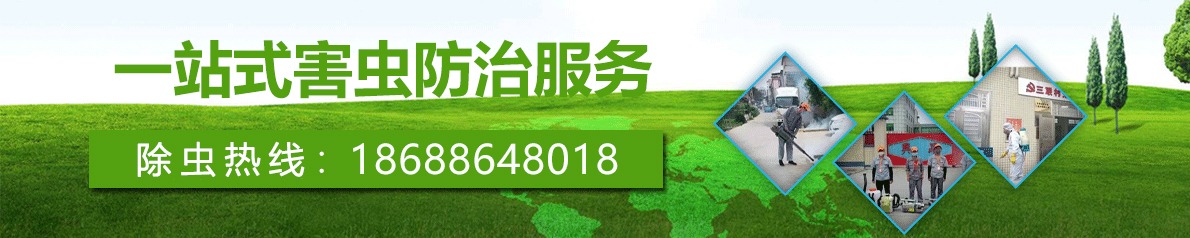 广惠除虫banner图1